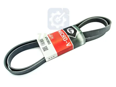 Ремень приводной Газель Бизнес 6PK1803 поликлиновой GATES