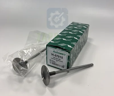 Клапан впускной X-RAY дв. HR16DE-H4M (31.7х5х101.8) Autowelt