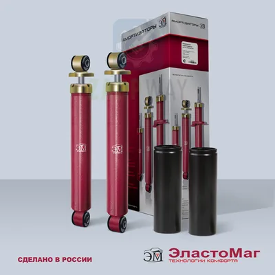 Амортизатор задний масл. 2123 ЭластоМаг