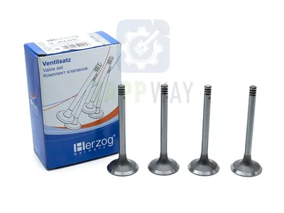 Клапана впуск/выпуск 21083 (HL8 7010/12) |25| HERZOG